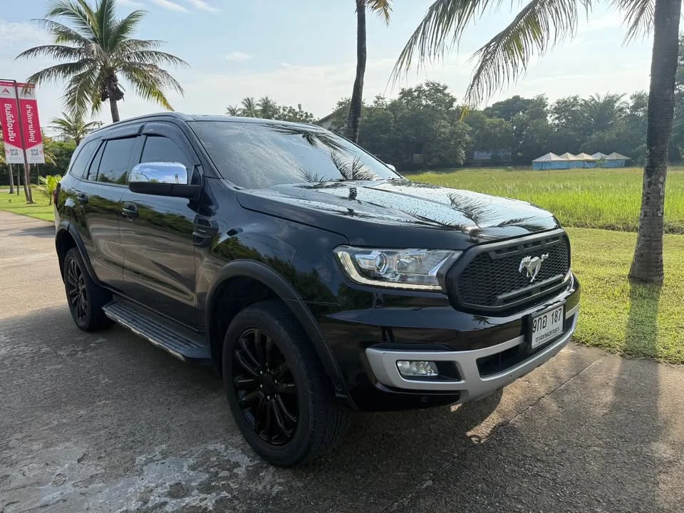 2019 Ford Everest II 3