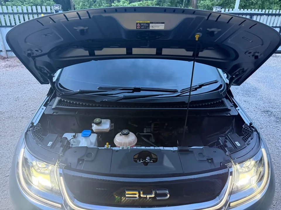 2023 BYD Dolphin 2