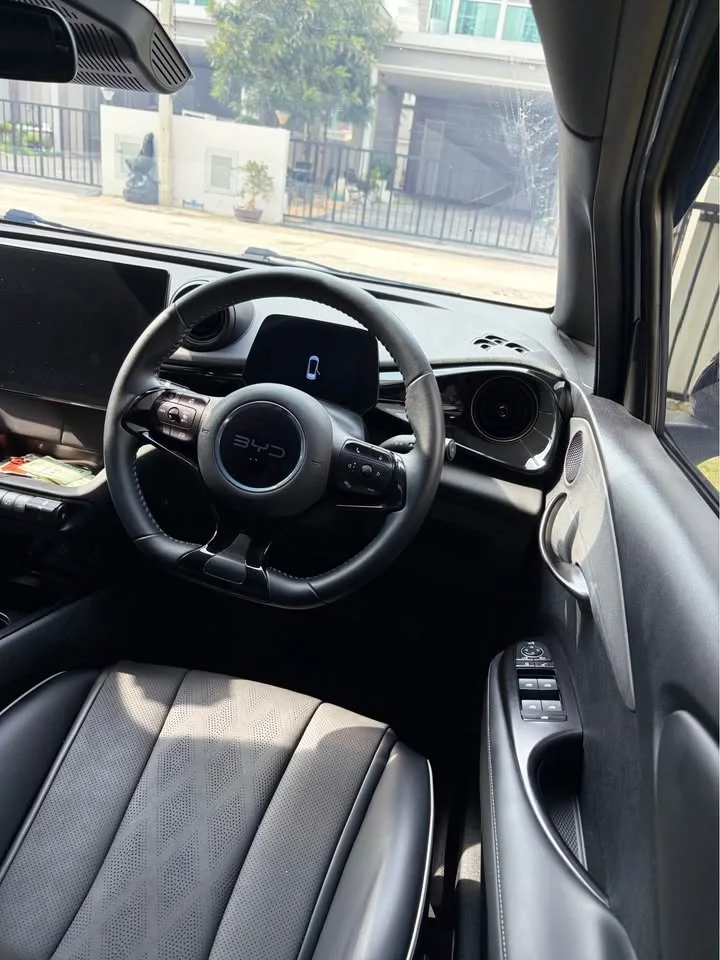 2024 BYD Dolphin 3
