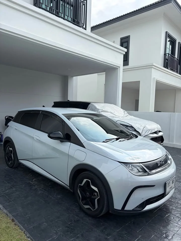 2024 BYD Dolphin 2