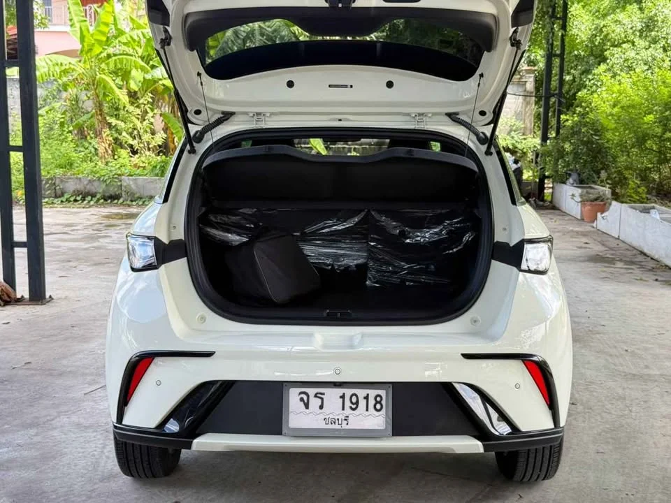 2023 BYD Dolphin 3