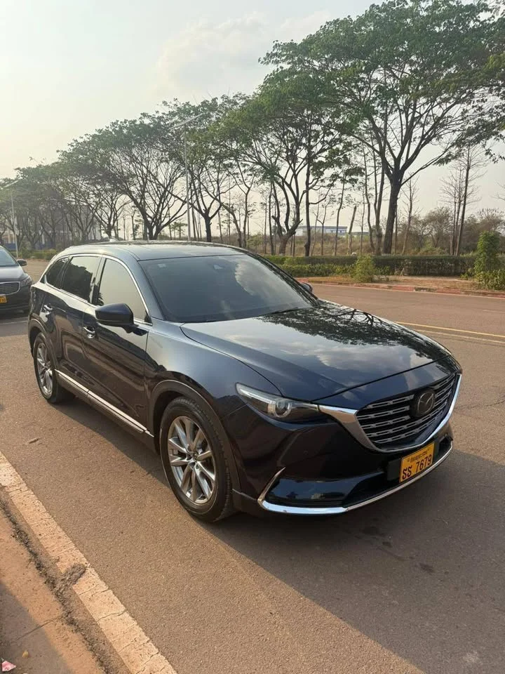 2019 Mazda CX-9 II 3