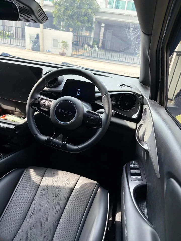 2024 BYD Dolphin 3