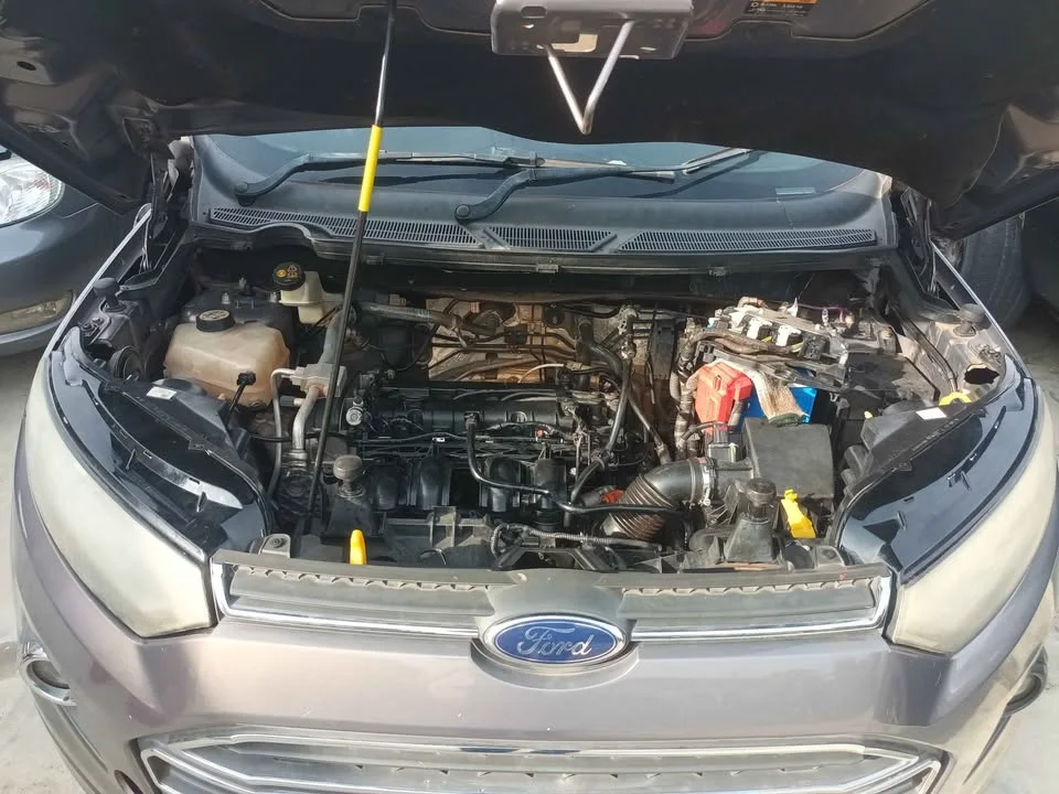 2014 Ford EcoSport II 3
