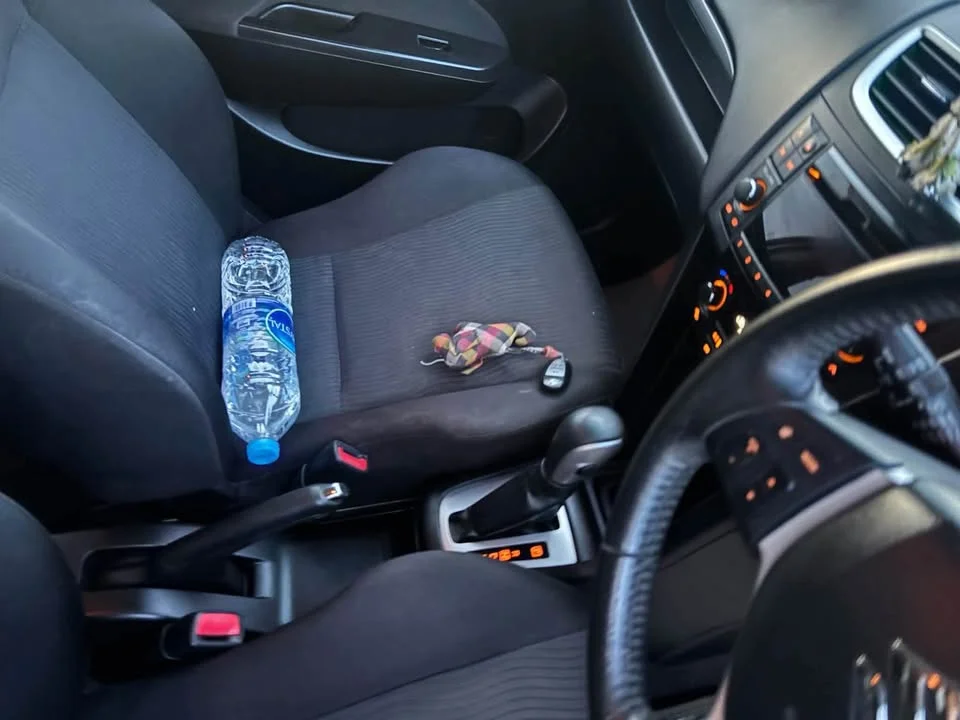 2012 Suzuki Swift II 3