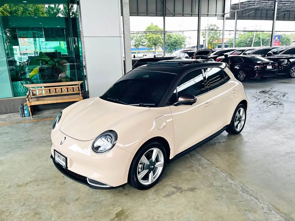 2025 GWM Ora Good Cat 2