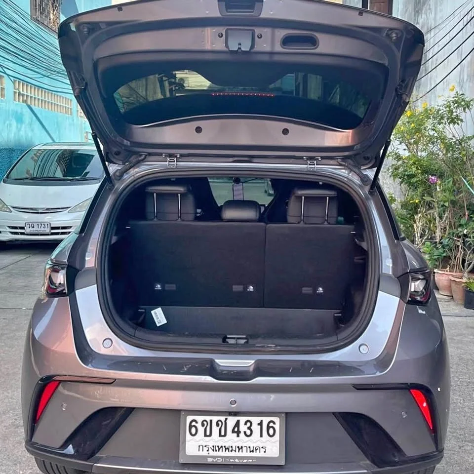 2024 BYD Dolphin 3