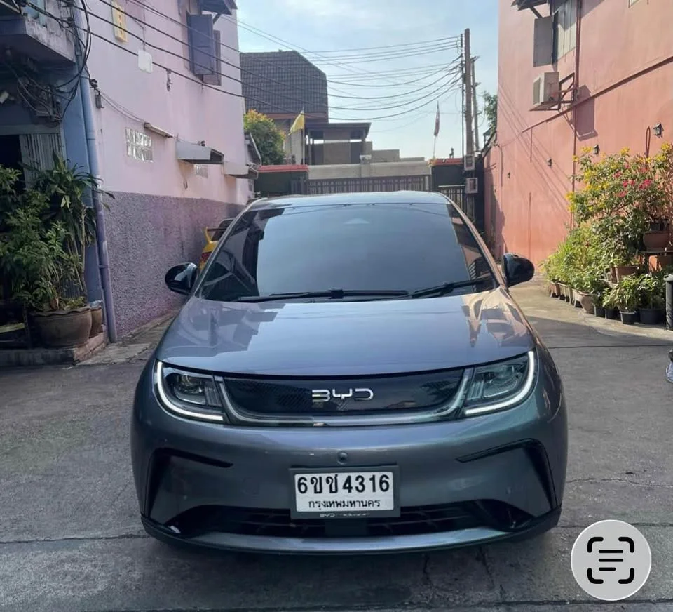 2024 BYD Dolphin 2