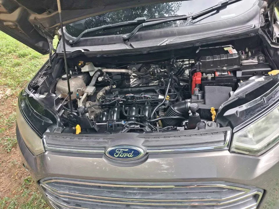 2014 Ford EcoSport II 3