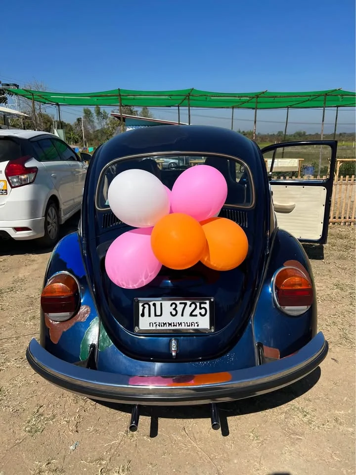 1971 Volkswagen Beetle Type 1 3