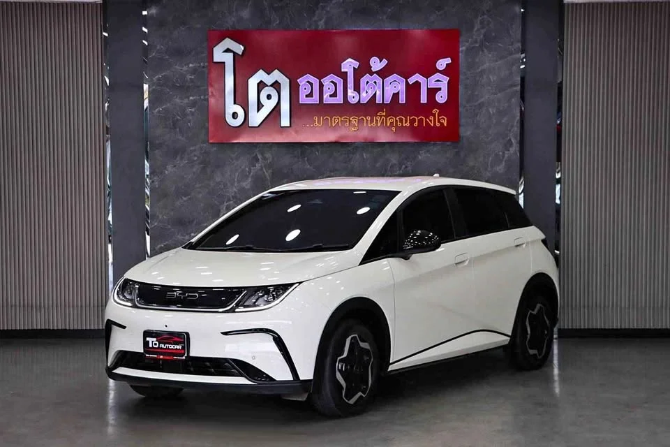 2024 BYD Dolphin 3