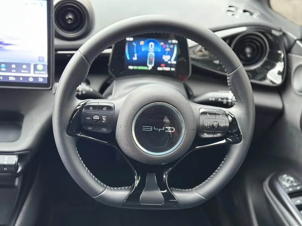 2024 BYD Dolphin 3