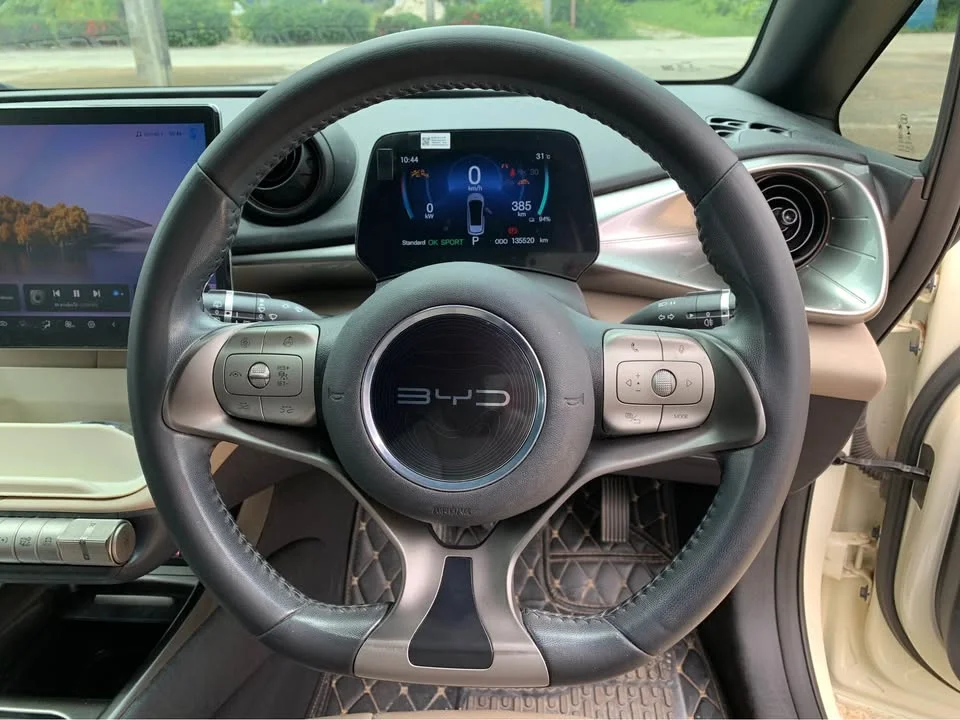 2024 BYD Dolphin 2