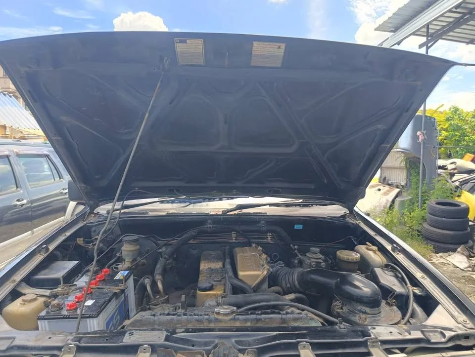 1996 Isuzu TFR III 2