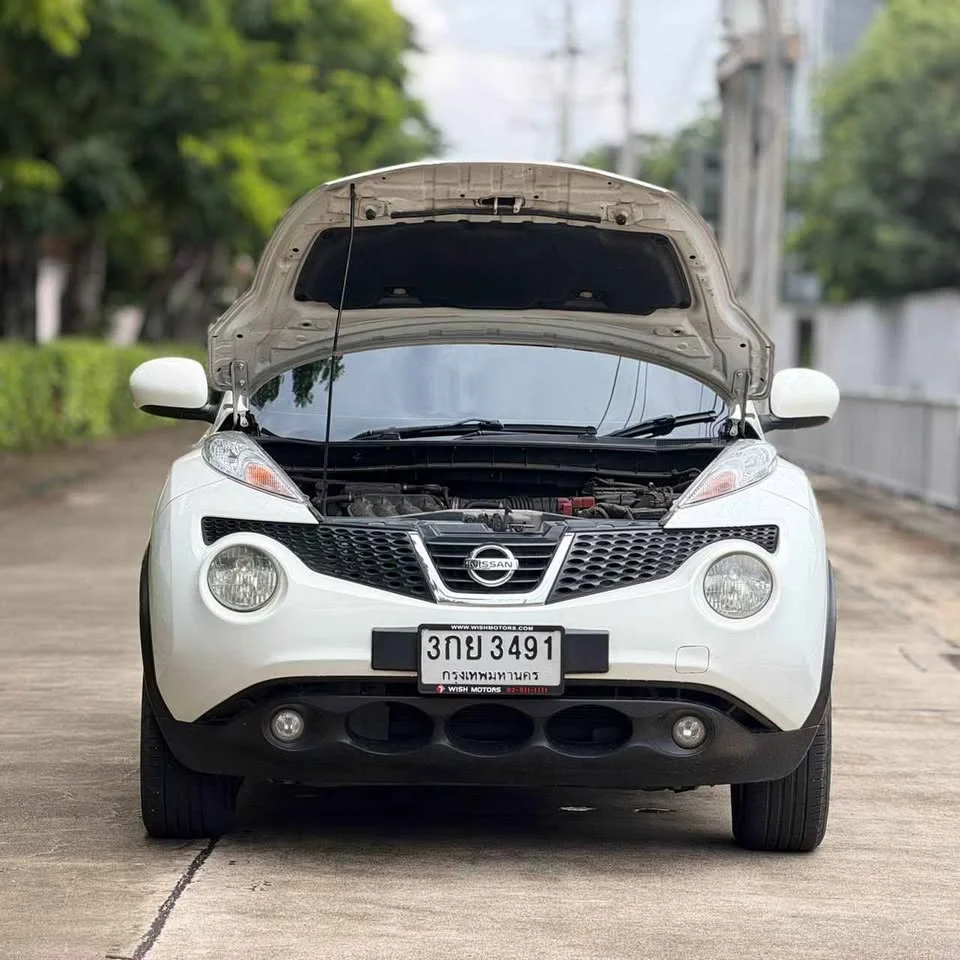 2014 Nissan Juke I (F15) 2
