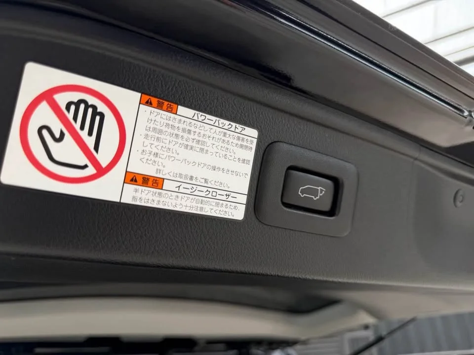 2019 Toyota Alphard, Vellfire III (AH30) 2