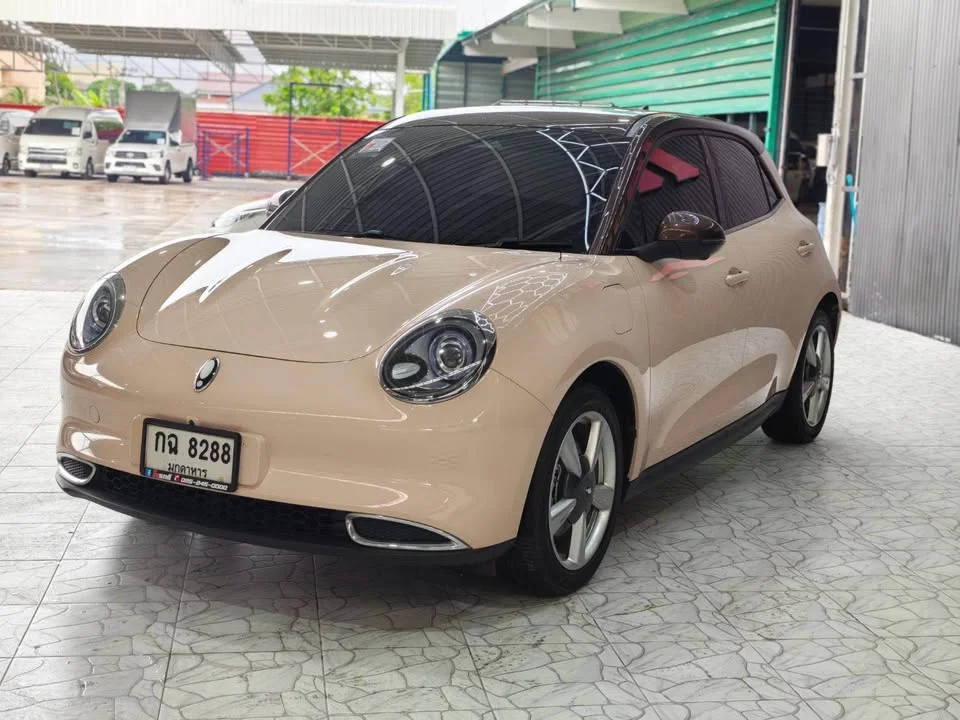 2024 GWM Ora Good Cat 2