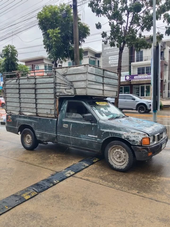 1994 Isuzu TFR III 2