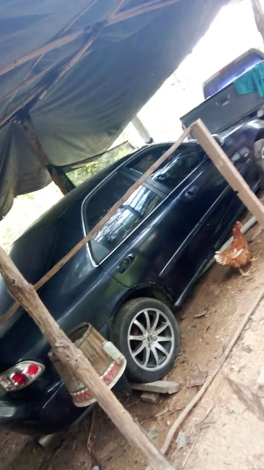 2021 Honda Civic V 2
