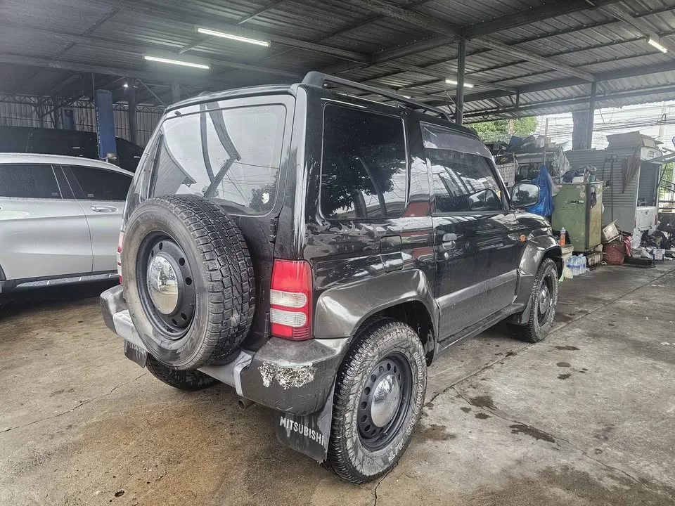 2009 Mitsubishi Pajero Junior 3