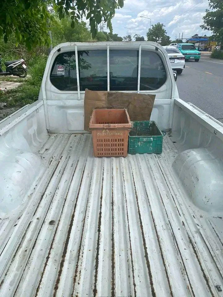 2010 Mitsubishi Triton IV 3
