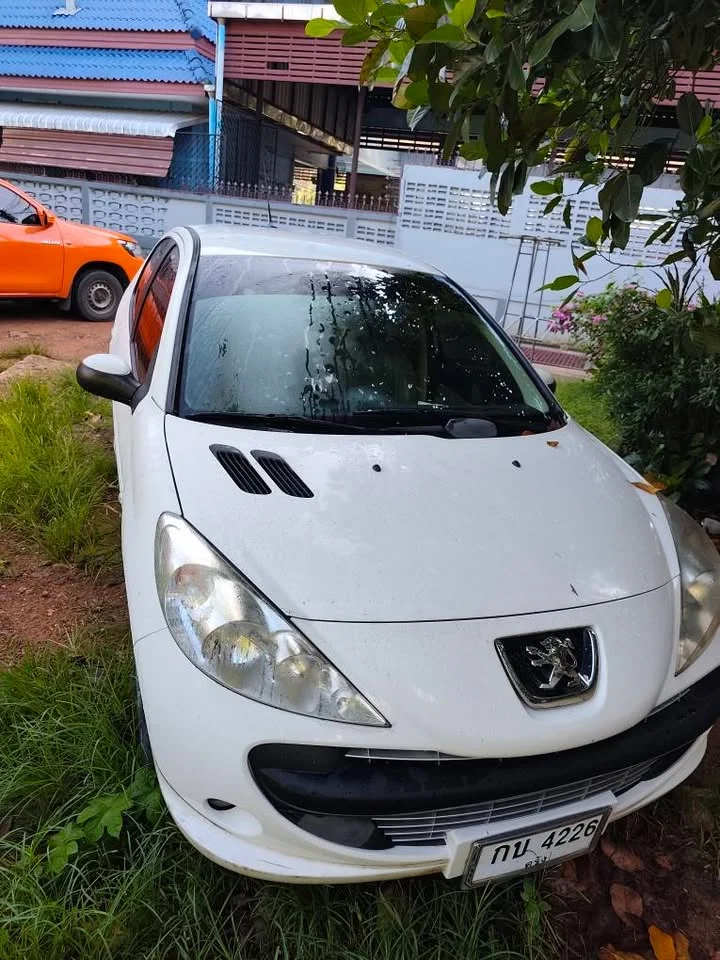 2011 Peugeot 207 3