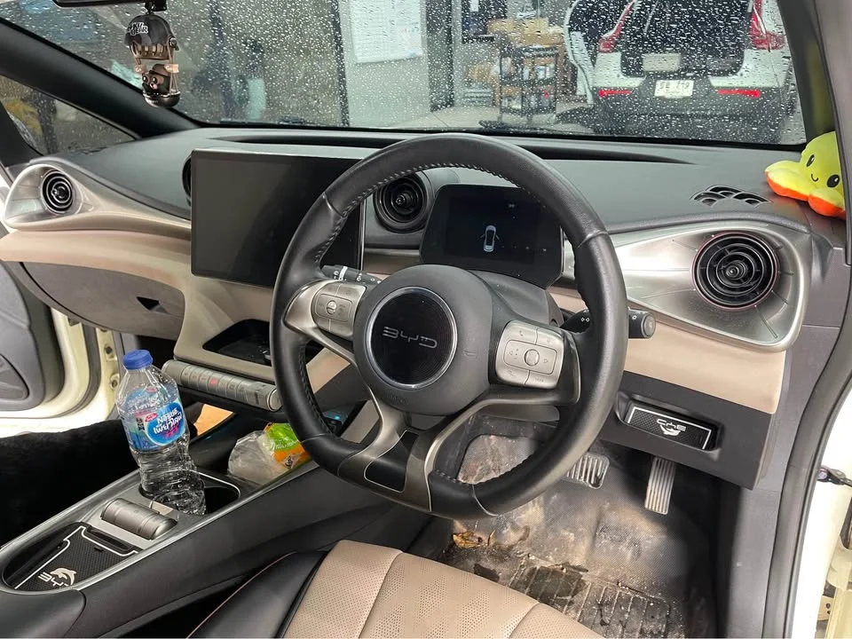 2023 BYD Dolphin 2