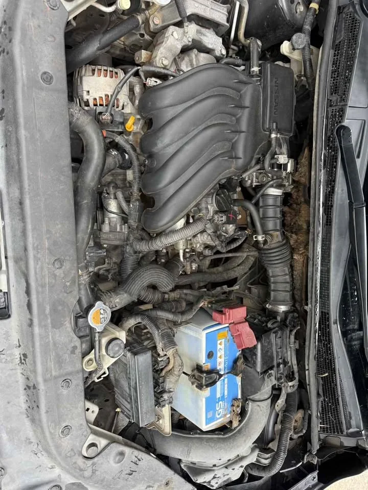 2014 Nissan Sylphy III (B17) 3
