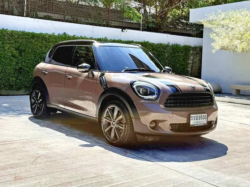 2014 Mini Countryman I 3