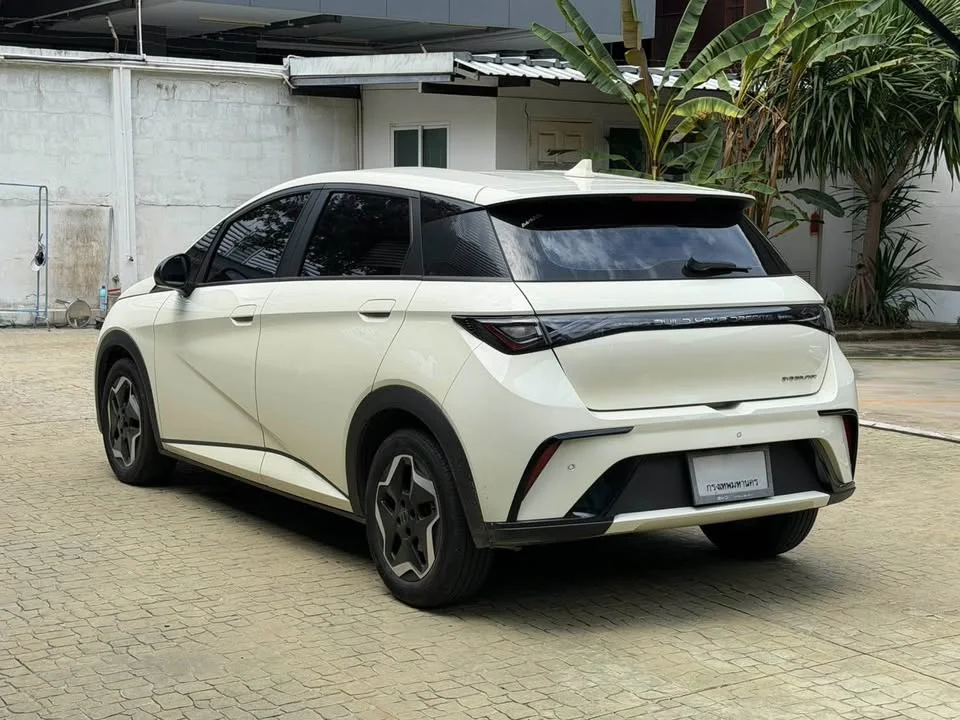 2023 BYD Dolphin 3