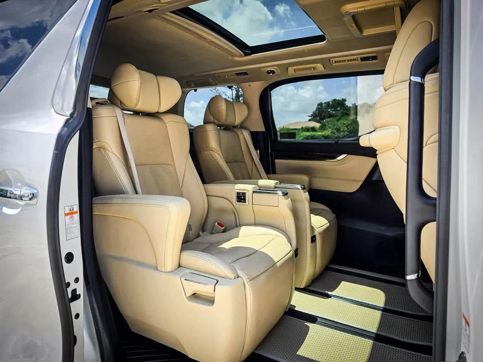 2019 Toyota Alphard, Vellfire III (AH30) 3