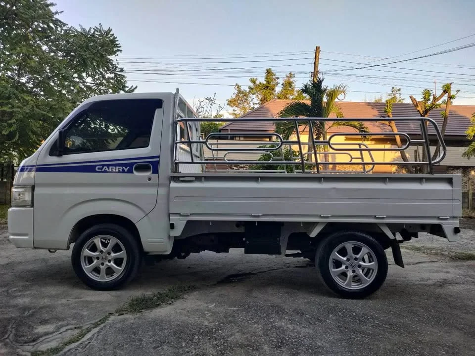 2019 Suzuki Carry II 3