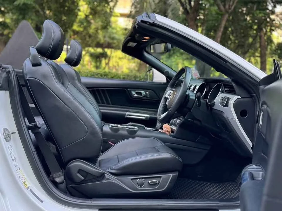 2016 Ford Mustang VI 3