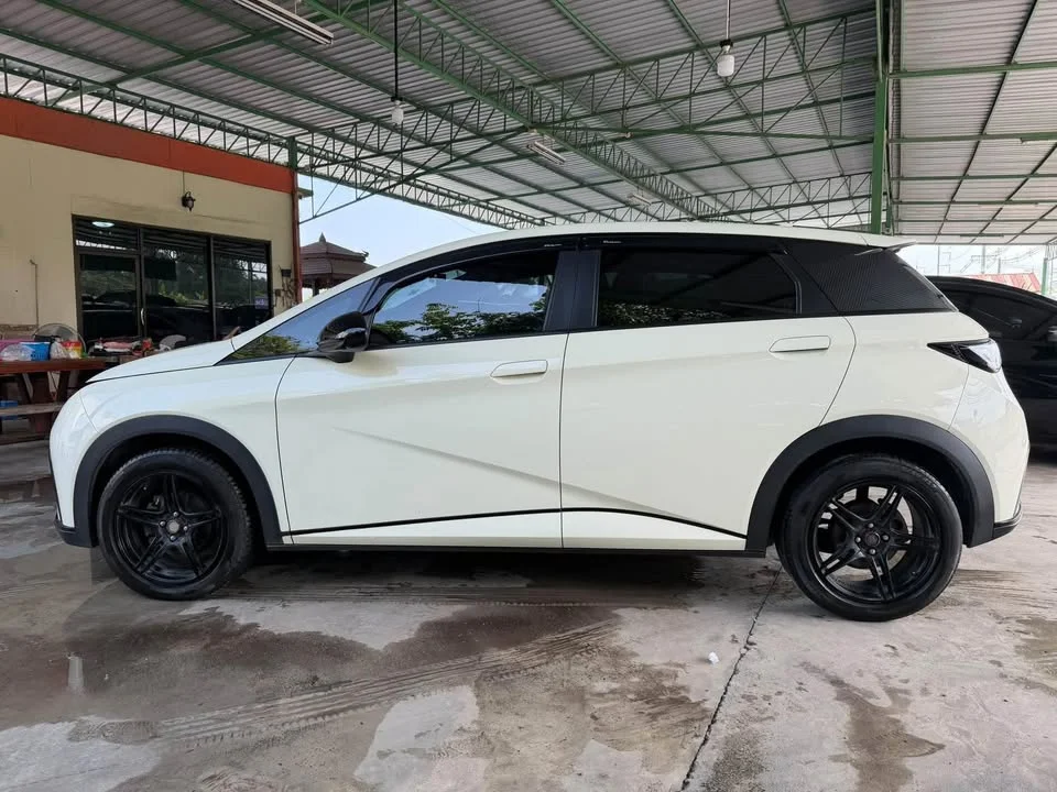 2023 BYD Dolphin 3