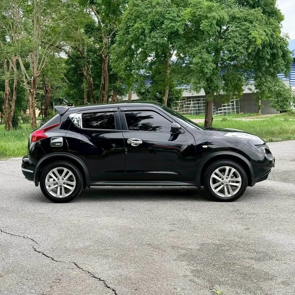 2014 Nissan Juke I (F15) 2