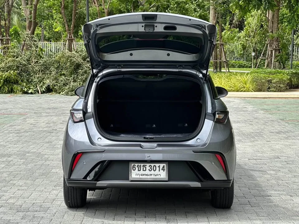 2024 BYD Dolphin 2