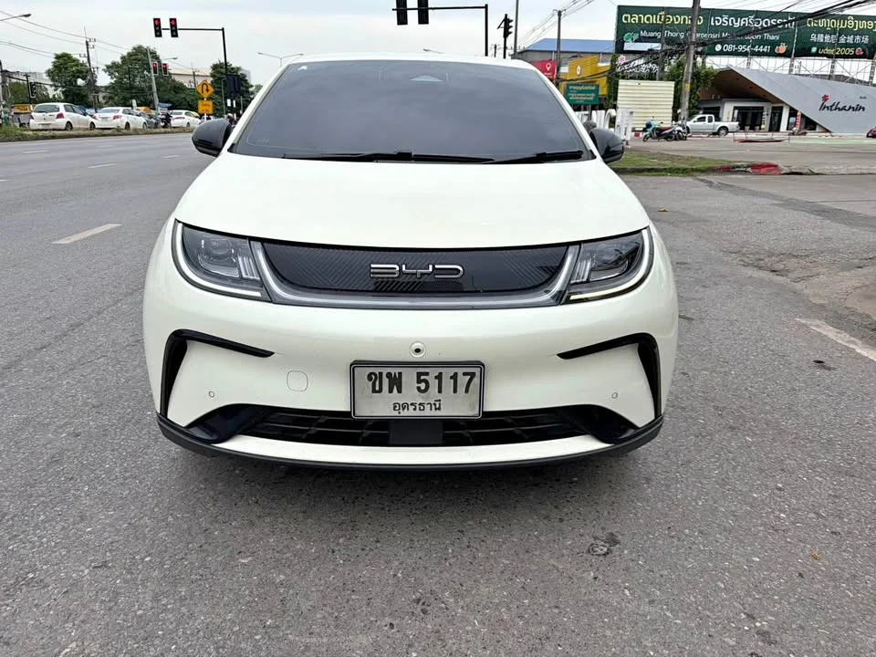 2024 BYD Dolphin 2