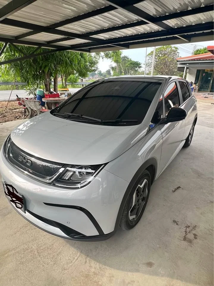 2026 BYD Dolphin 2