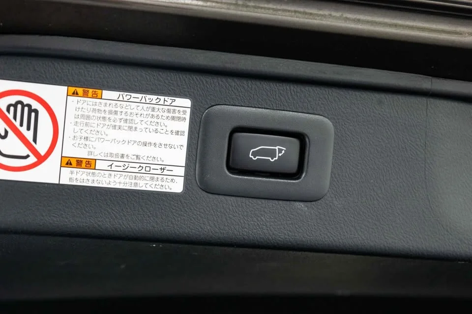 2019 Toyota Alphard, Vellfire III (AH30) 3