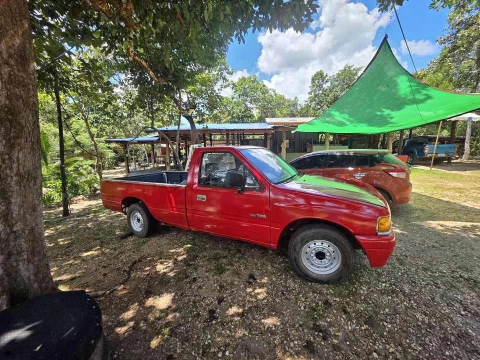 1999 Isuzu TFR III 3