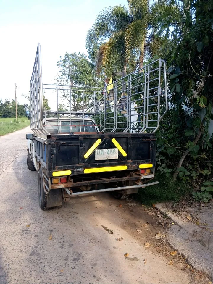 1999 Mitsubishi Triton II 2