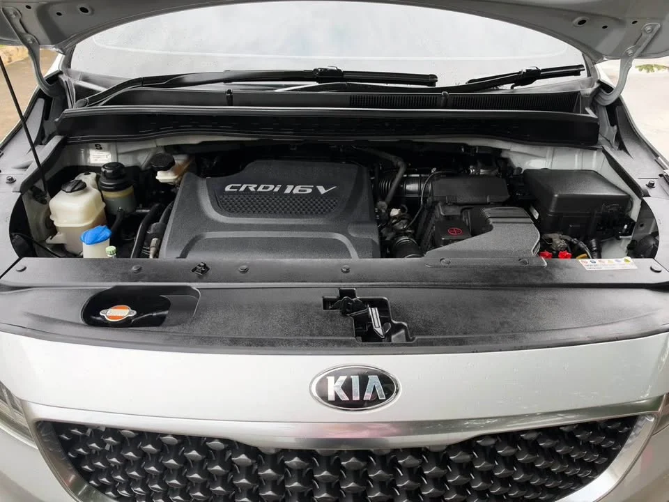 2016 Kia Carnival III 3