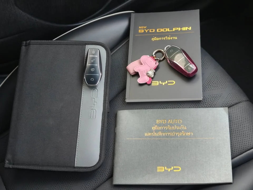 2024 BYD Dolphin 2