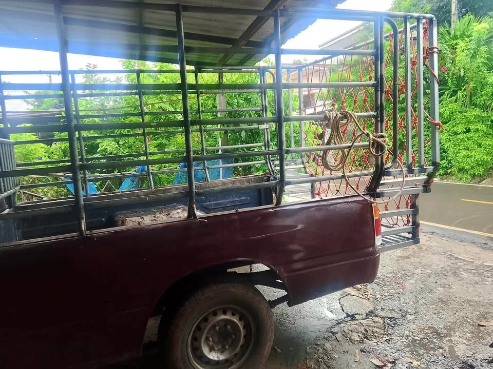 1993 Isuzu TFR III 2