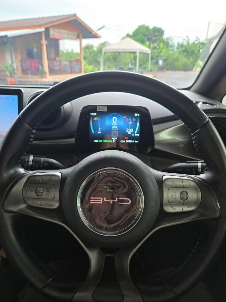 2023 BYD Dolphin 3