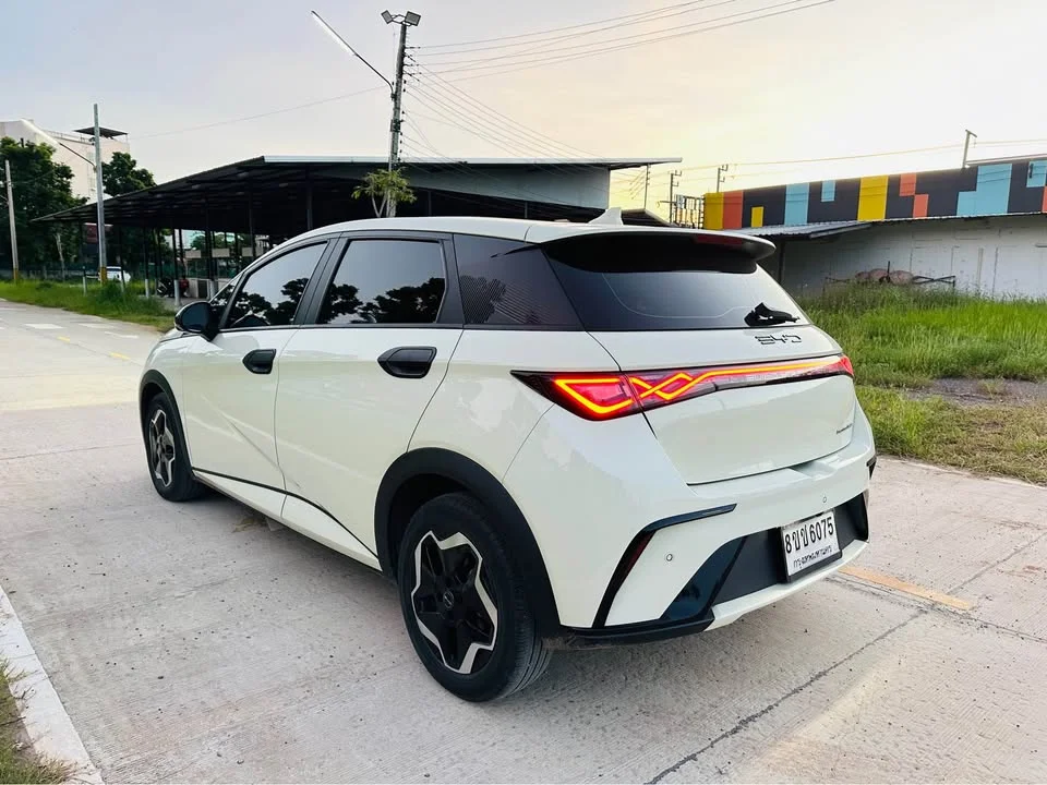 2023 BYD Dolphin 3