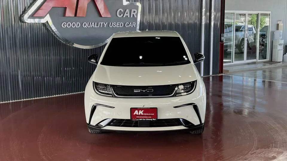 2023 BYD Dolphin 3