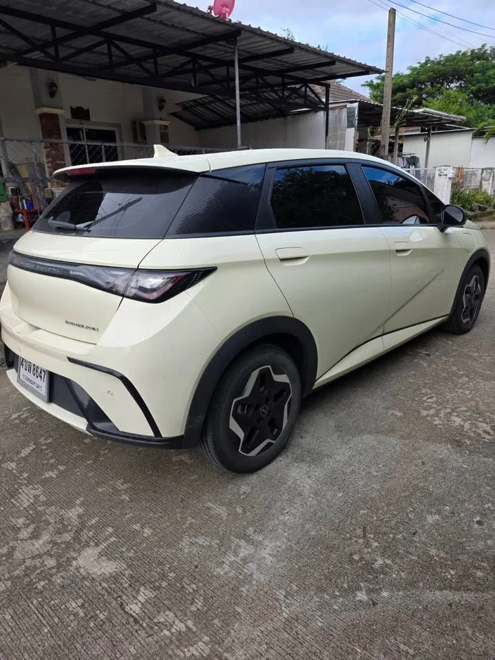2023 BYD Dolphin 3