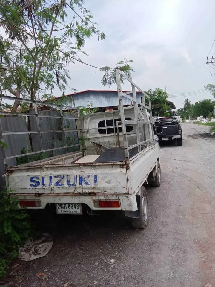 2019 Suzuki Carry II 3