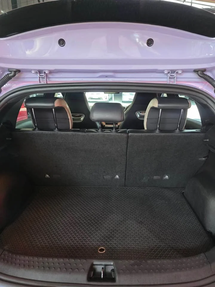 2023 BYD Dolphin 3